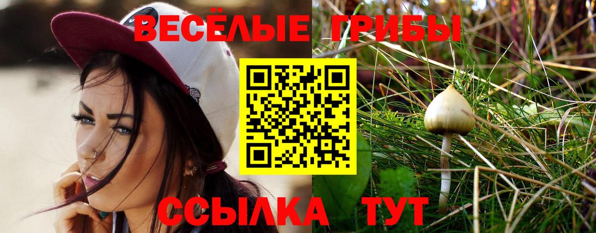 Приморско-Ахтарск  Псилоцибиновые грибы Cubensis  Вход с VPN  Галлюциногенные грибы мухоморы 